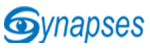 Synapses